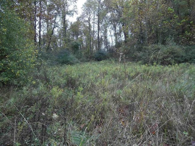 2410 Buckhannon Pike, Home with 0 bedrooms, 0 bathrooms and null parking in Mount Clare WV | Image 37