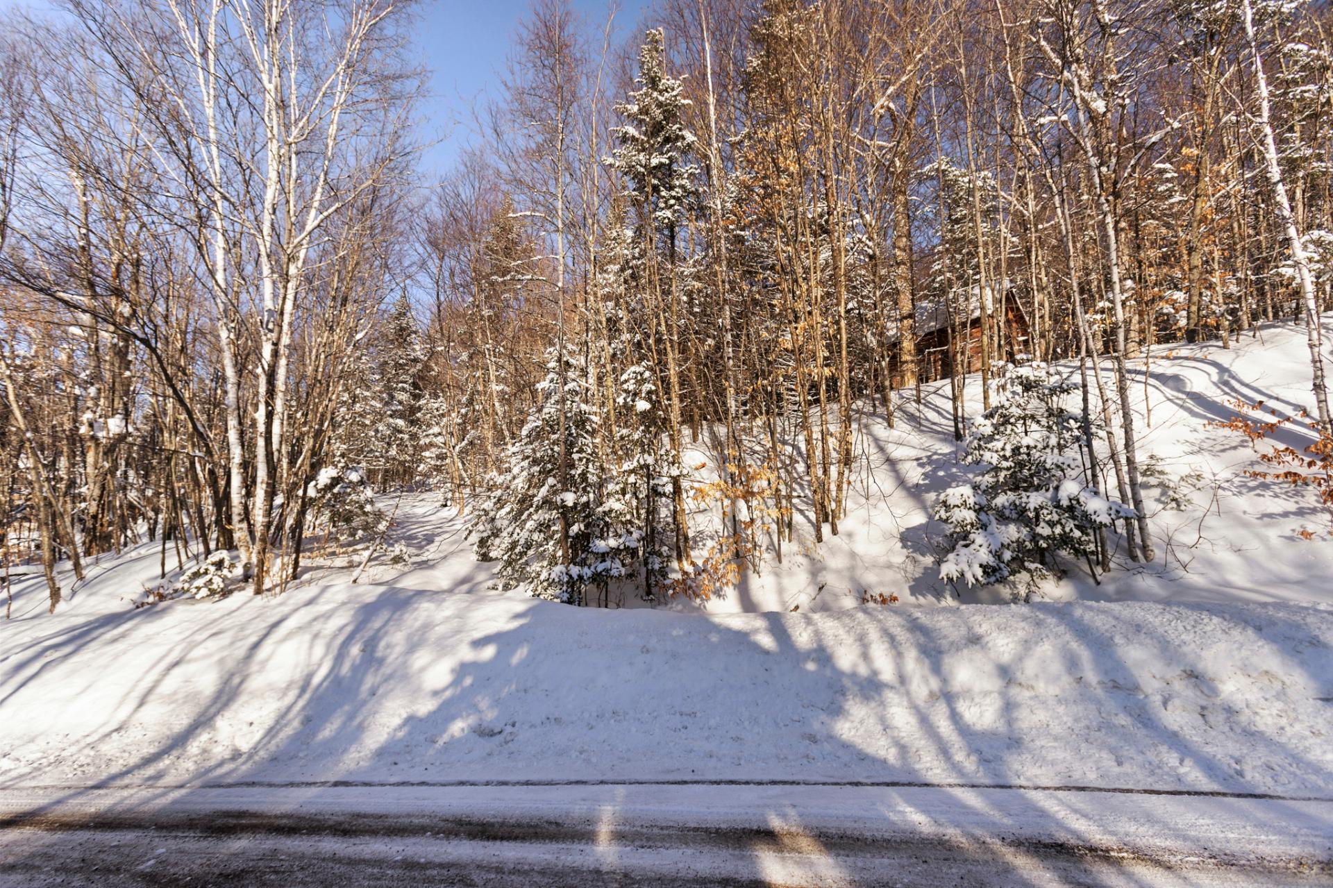Land in Sainte-Lucie-des-Laurentides