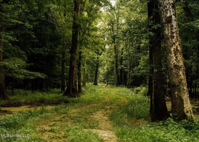 Castens Creek Pics-74 | Image 34