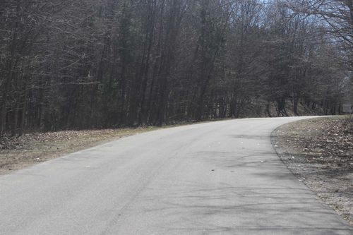 Lot 21 Crystal Ridge Dr, Beulah, MI, 49617 | Card Image