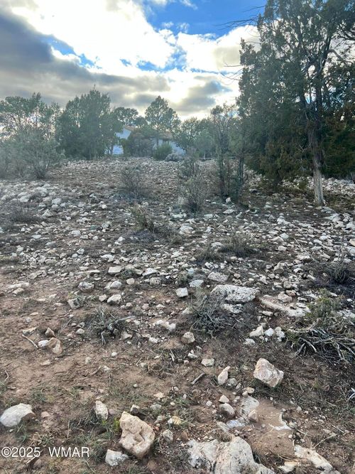 2820 Pine Hill Dr, Overgaard, AZ, 85933-5305 | Card Image