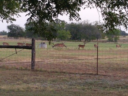 10905 S. FM 1915 Fm 1915 Highway, Buckholts, TX, 76518 | Card Image