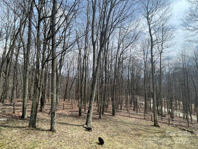 48 Grouse Thicket Rd, House other with 3 bedrooms, 3 bathrooms and null parking in Mars Hill NC | Image 40