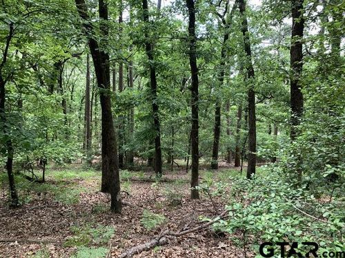 300301 Misty Glen Lane, Holly Lake Ranch, TX, 75765 | Card Image