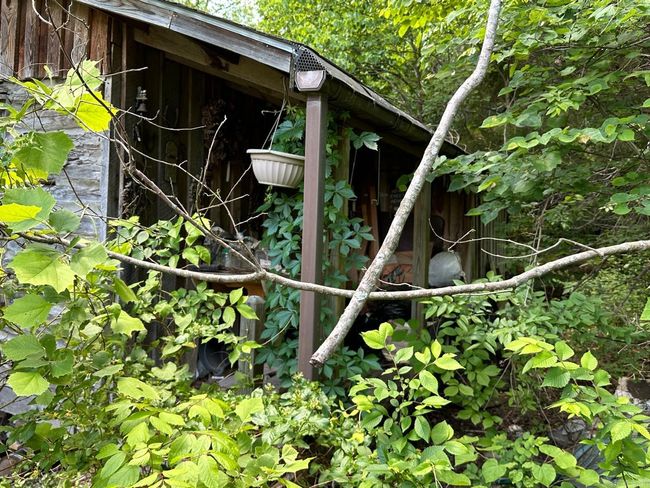 001 Mc 5019, House other with 0 bedrooms, 0 bathrooms and null parking in Pyatt AR | Image 11