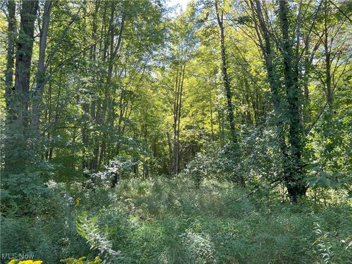 V/L Peterson Road, Jefferson, OH, 44047 | Card Image