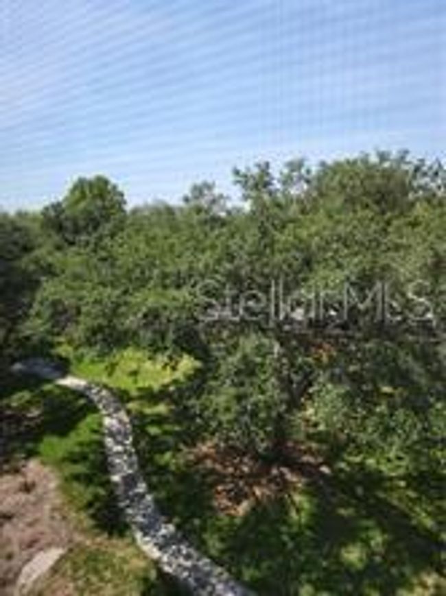 View from Balcony | Image 16