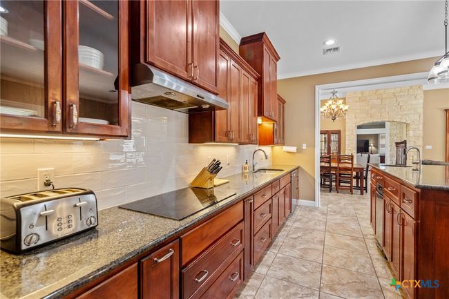 404 Iron Gate, House other with 5 bedrooms, 5 bathrooms and null parking in Victoria TX | Image 15