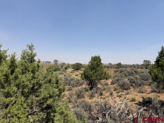 Land in Dove Creek 5