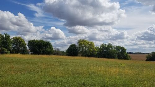 9296 Lee Hill Rd, Newark, IL, 60541-4508 | Card Image