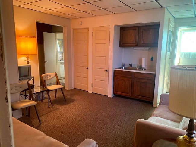 339 E Chestnut St, House other with 3 bedrooms, 3 bathrooms and 5 parking in Sheffield IL | Image 22