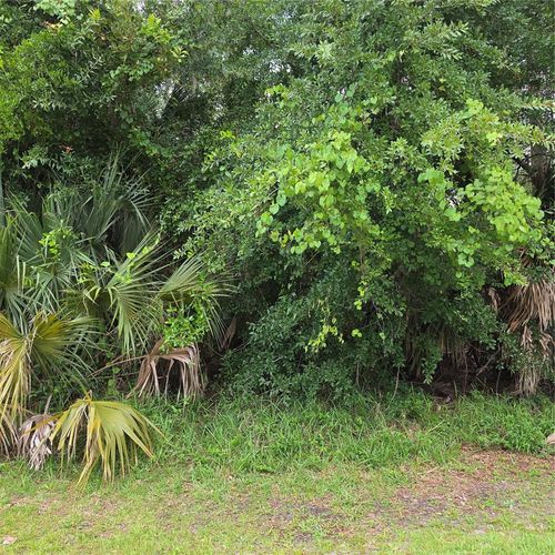 19 Wasserman Dr, Palm Coast, FL, 32164-7691 | Card Image