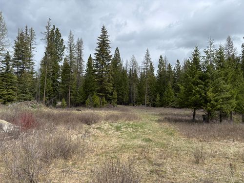 lot-3-52 Haskill Ranch Rd, Kila, MT, 59920 | Card Image