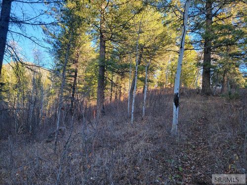 L13B2 Cutthroat Run, Irwin, ID, 83428 | Card Image