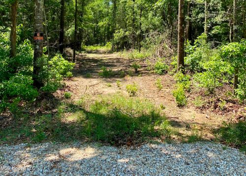 00 Otho Davis Rd, Lumberton, MS, 39455 | Card Image