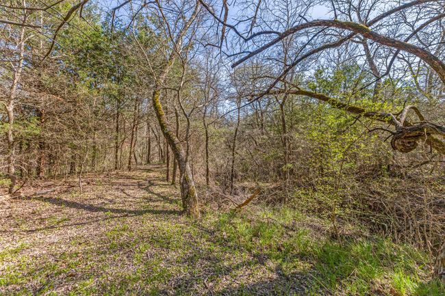 Tract 5 Private Road 6040, Home with 0 bedrooms, 0 bathrooms and null parking in Blue Ridge TX | Image 11