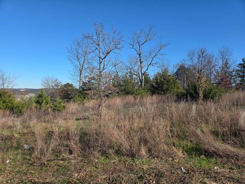 112 Black Forest Ln, Branson West, MO, 65737 | Card Image