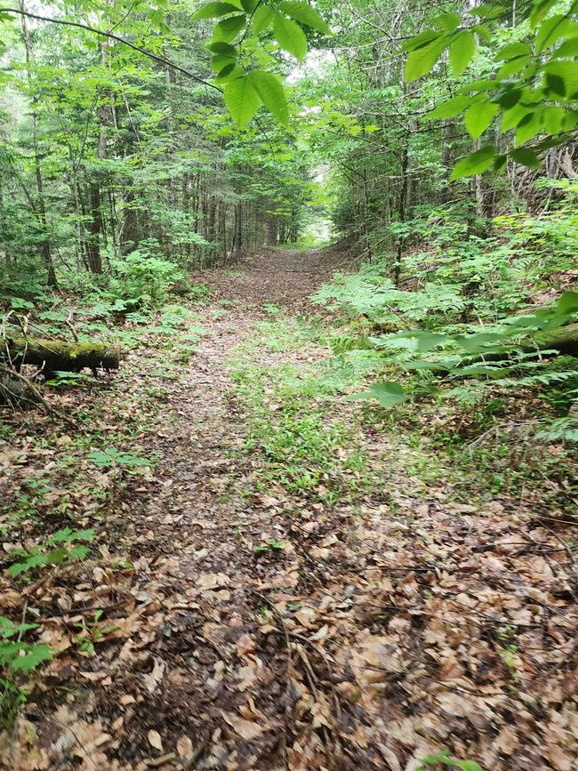 1602 E Haven Rd, House other with 3 bedrooms, 1 bathrooms and null parking in Island Pond VT | Image 49