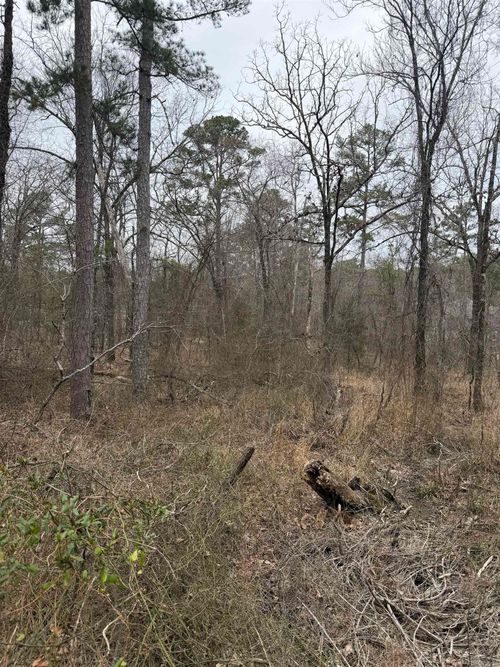 TBD San Juan Way, Hot Springs Village, AR, 71909 | Card Image