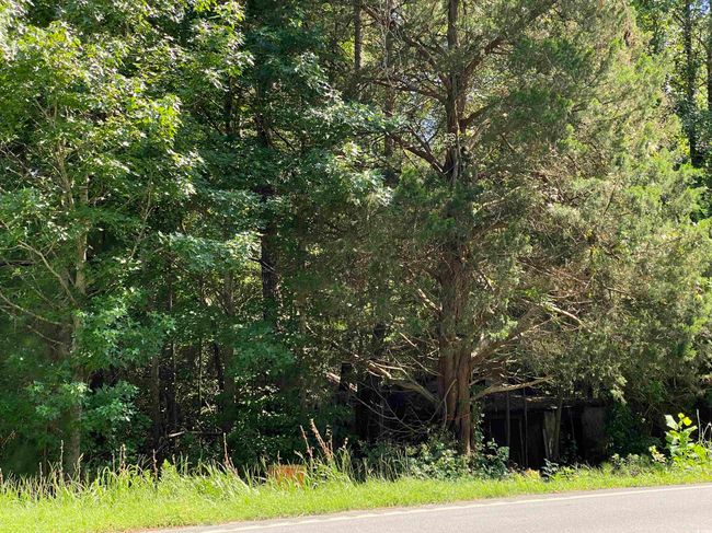 9142 Highway 90, Home with 0 bedrooms, 0 bathrooms and null parking in Longs SC | Image 4