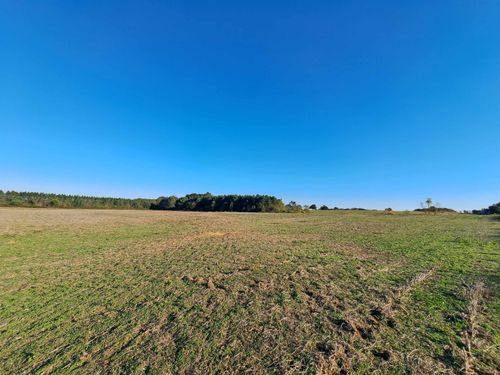 00 Co Rd 96, Rogersville, AL, 35652 | Card Image
