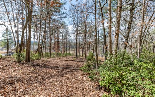 LT 35 Hidden Harbor, Blairsville, GA, 30512 | Card Image