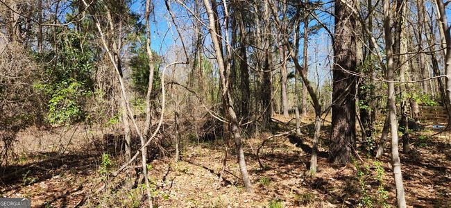 5757 Jeffersonville Rd, Home with 0 bedrooms, 0 bathrooms and null parking in Dry Branch GA | Image 12