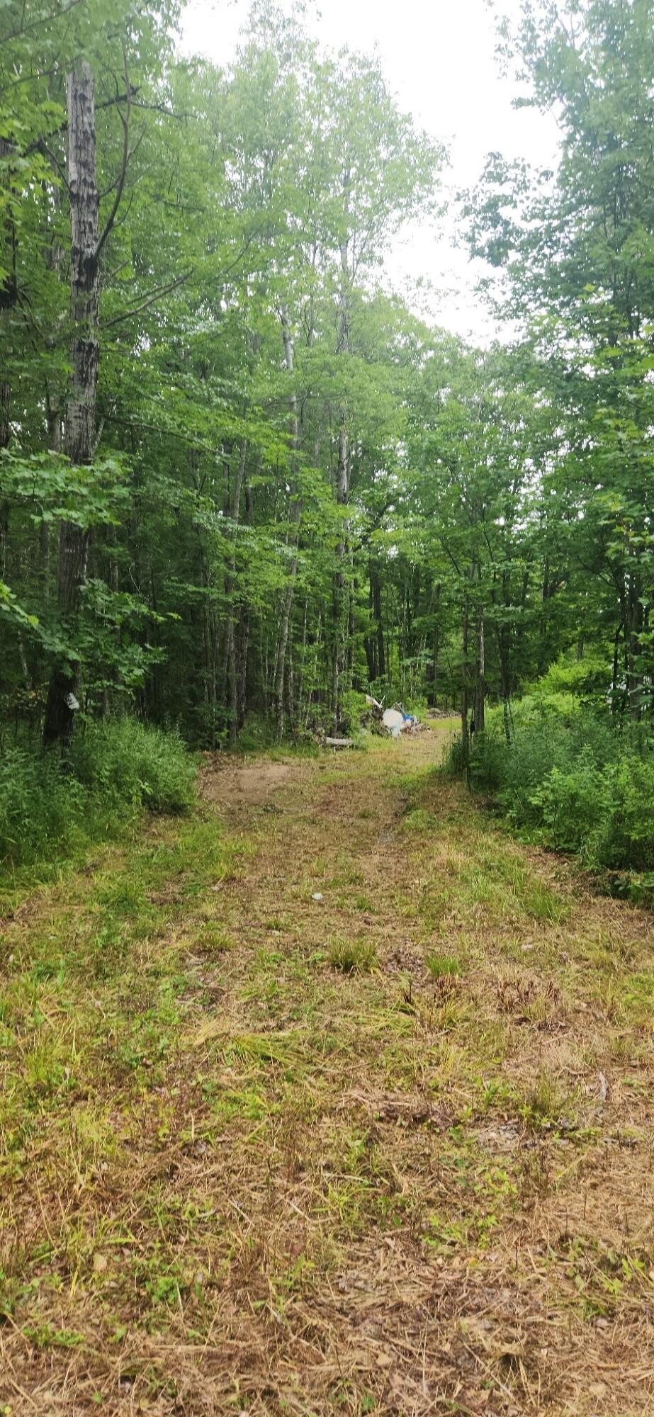 Land in Greenbush 4