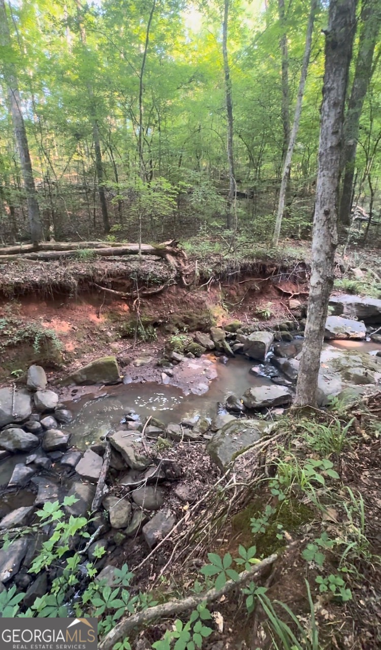 Land in Yatesville 3