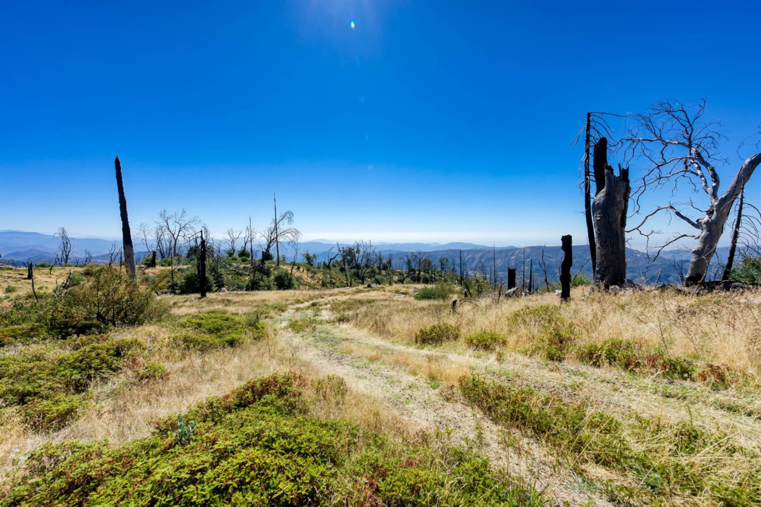 Land in Shaver Lake 3