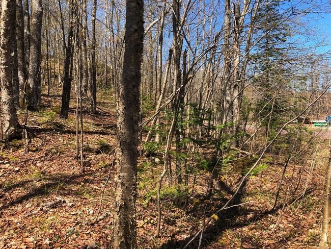 Lot 35 N Alpine Dr, Home with 0 bedrooms, 0 bathrooms and null parking in Upson WI | Image 16