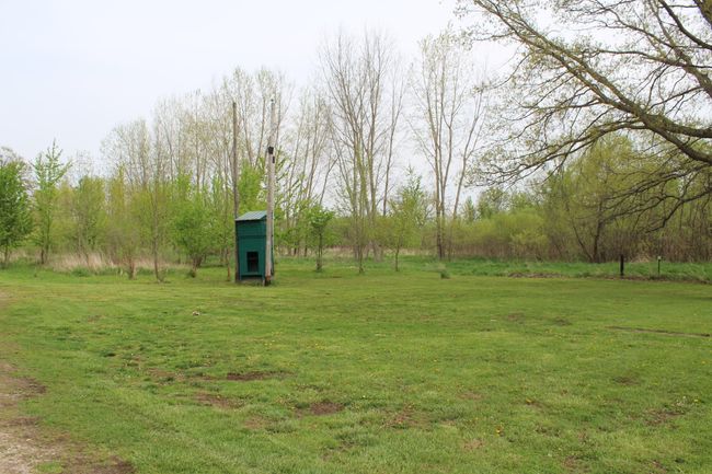 front yard and blind | Image 20