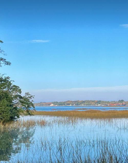 Lot 35 Josie Ridge Rd, Wadmalaw Island, SC, 29487 | Card Image