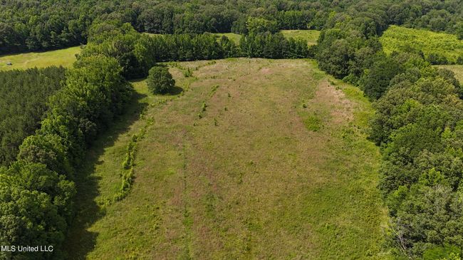 dji_fly_20240611_153226_0069_17181379381 | Image 5