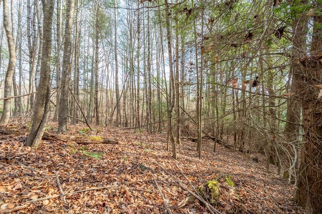 000 Miriam Road, Home with 0 bedrooms, 0 bathrooms and null parking in Dugspur VA | Image 15