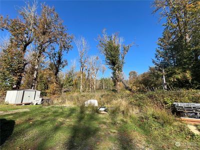 East facing view of the 5 acre parcel. Level area ready for your homestead. Lots of sunshine & plenty of room for a home, animals and a large garden. | Image 2