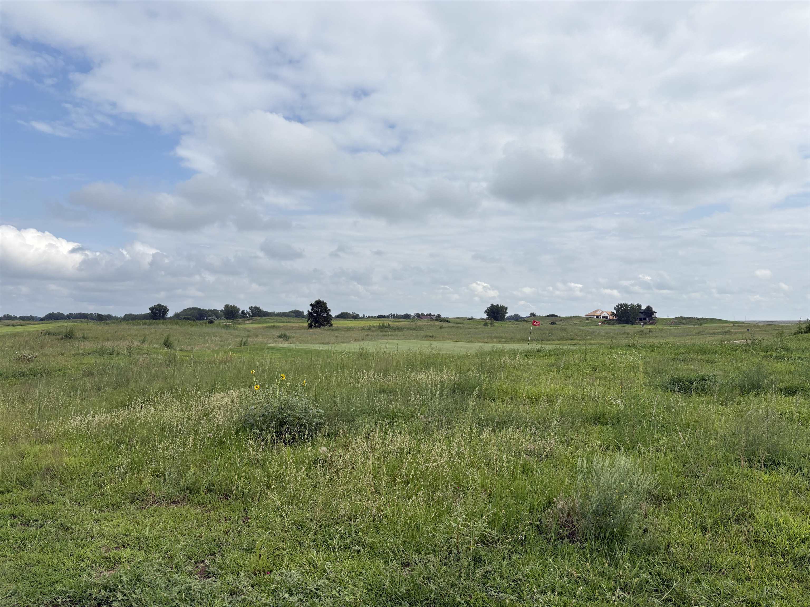 Land in Axtell 4