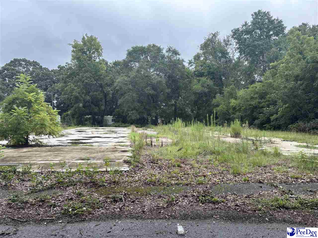 Land in Hartsville