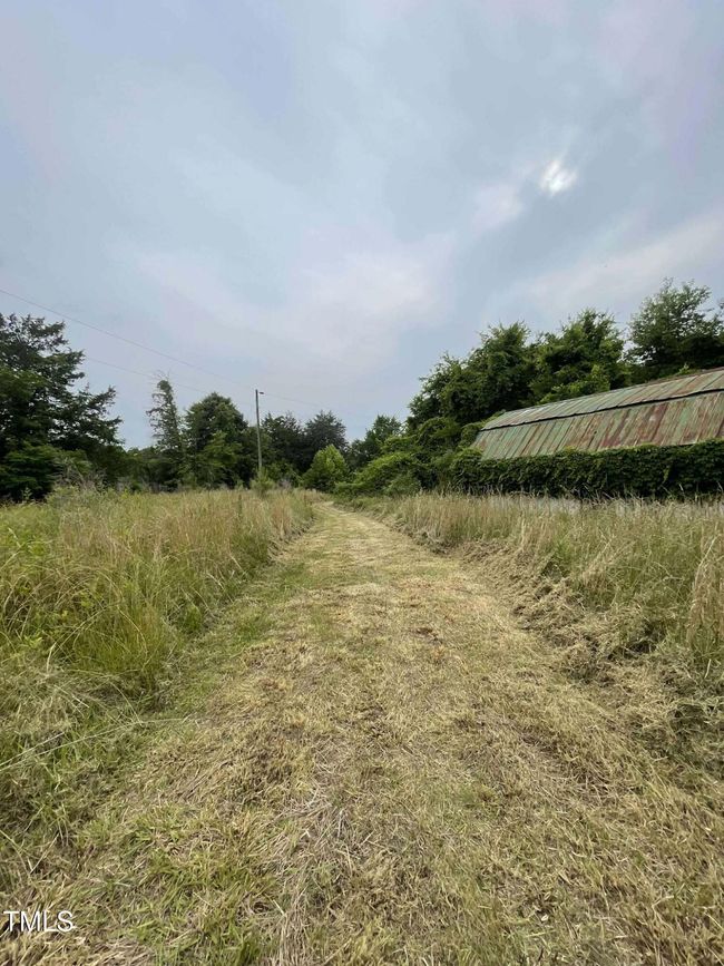Path | Image 5