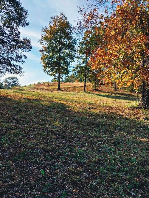 0 Whippoorwill Dr, Red Bay, AL, 35582 | Card Image