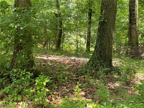 20892 Sixteen School Rd, Irondale, OH, 43932-9600 | Card Image