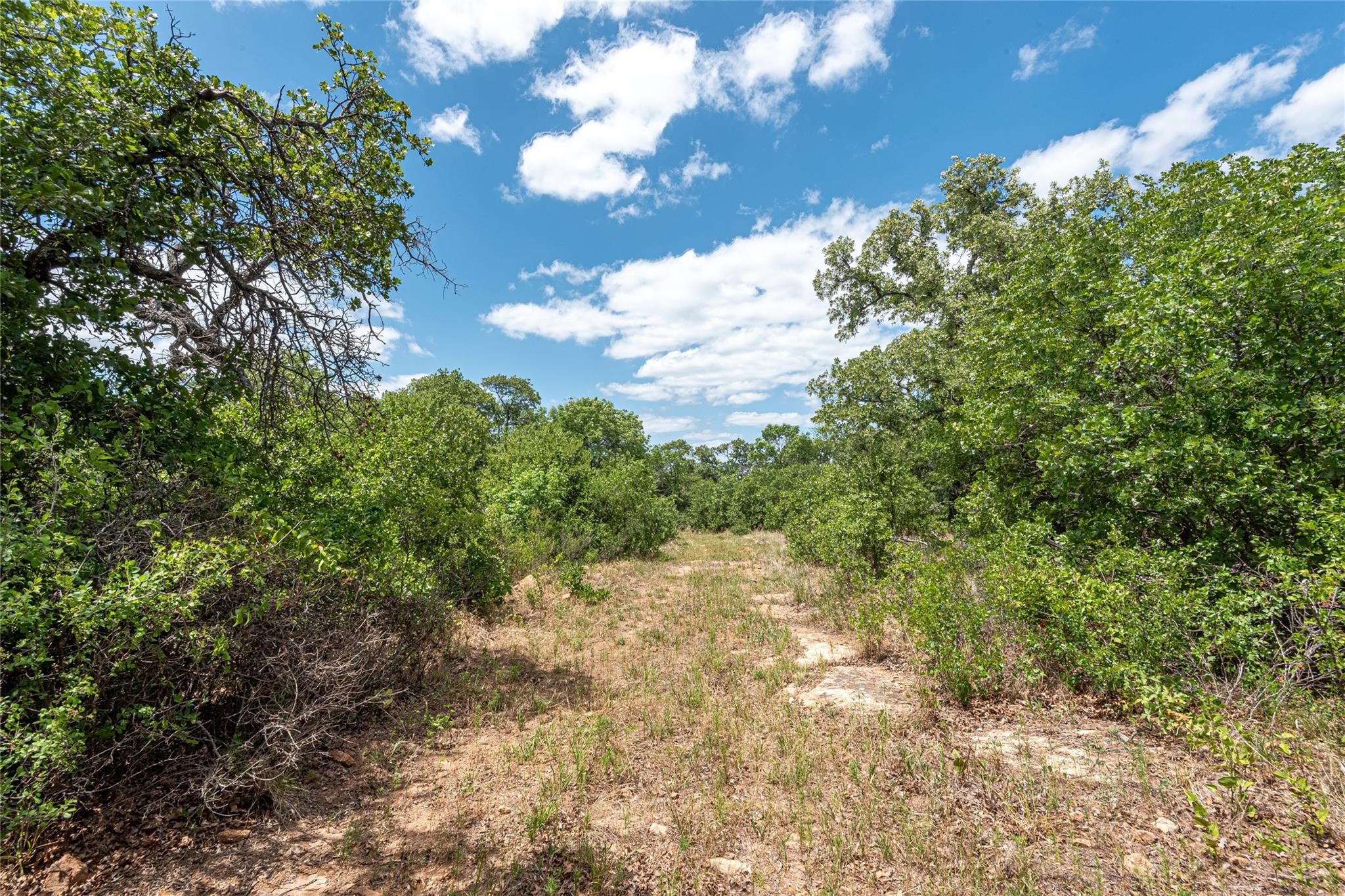 Land in Gordon 5
