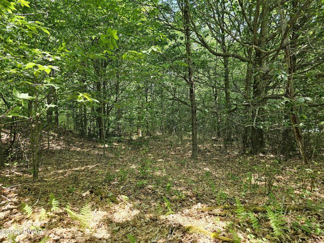 Property 4 | Image 4