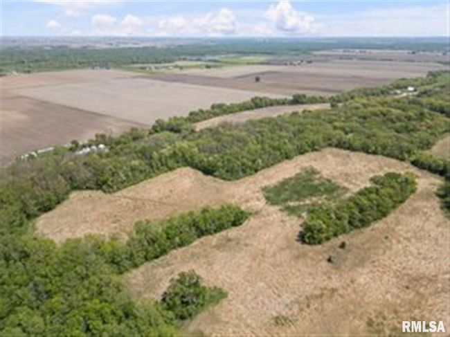 000 Bluff Rd, Home with 0 bedrooms, 0 bathrooms and null parking in Princeton IA | Image 7