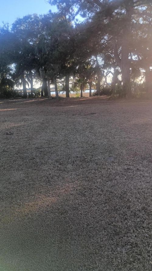 171 Bennett Island Dr., Green Pond, SC, 29446 | Card Image