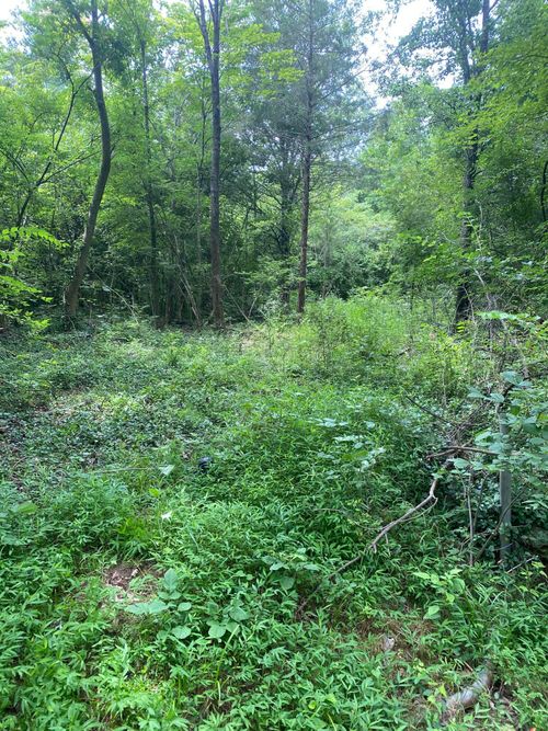 0 Mccahill Rd, Chattanooga, TN, 37415 | Card Image