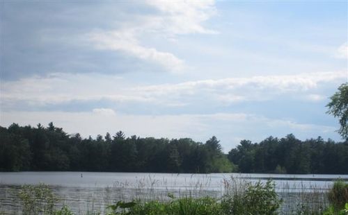 N8000 N Shore Dr, New Lisbon, WI, 53950-9032 | Card Image