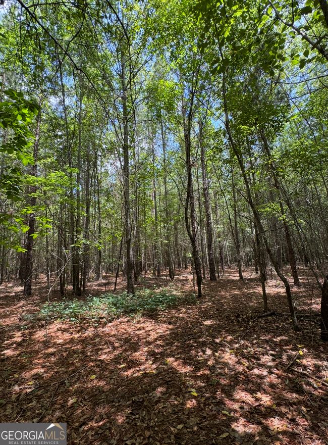 0 Tobias Rd, Home with 0 bedrooms, 0 bathrooms and null parking in Sardis GA | Image 14