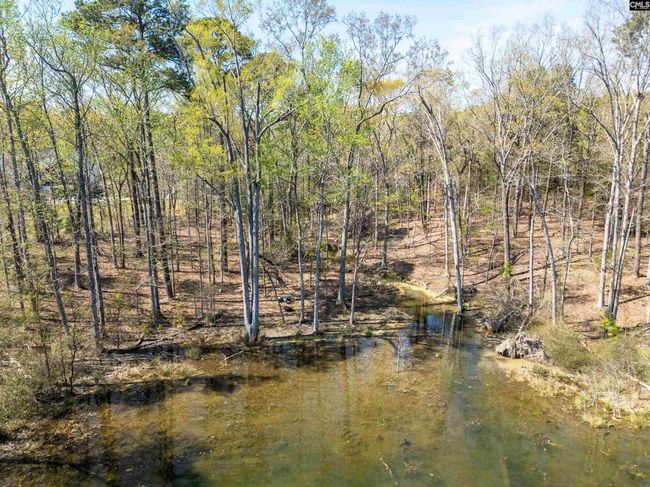 153 Pintail Lake Dr, Home with 0 bedrooms, 0 bathrooms and null parking in Gilbert SC | Image 6