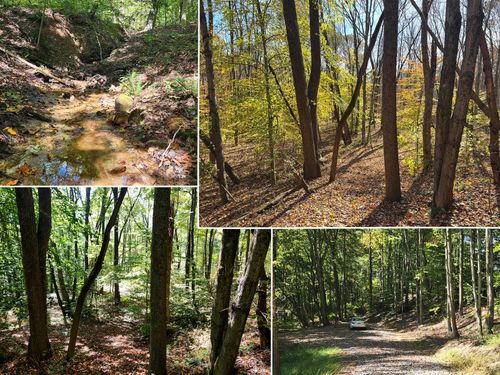 ponds-poplar-ridge-tract-929 Poplar Ridge Rd, Gallipolis, OH, 45631 | Card Image